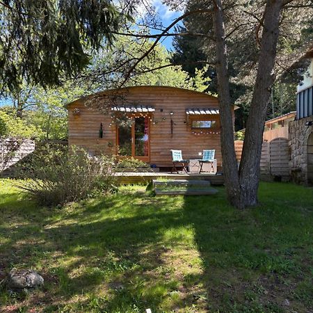 Chalet Grenouille Domaine De La Mamounette Champclause Bagian luar foto