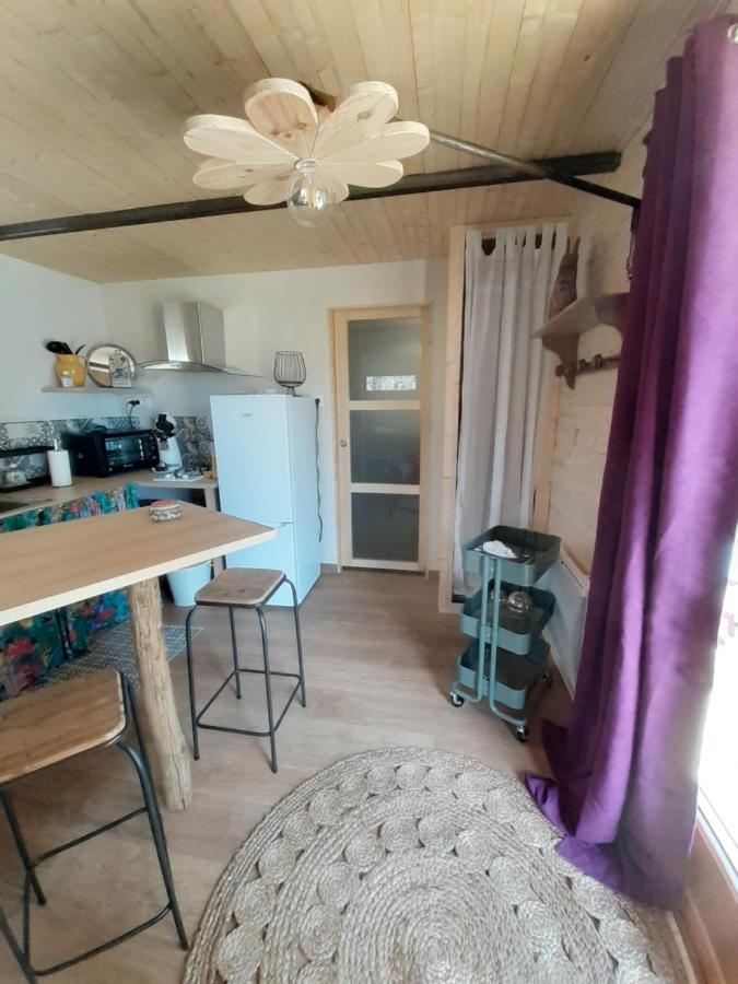 Chalet Grenouille Domaine De La Mamounette Champclause Bagian luar foto