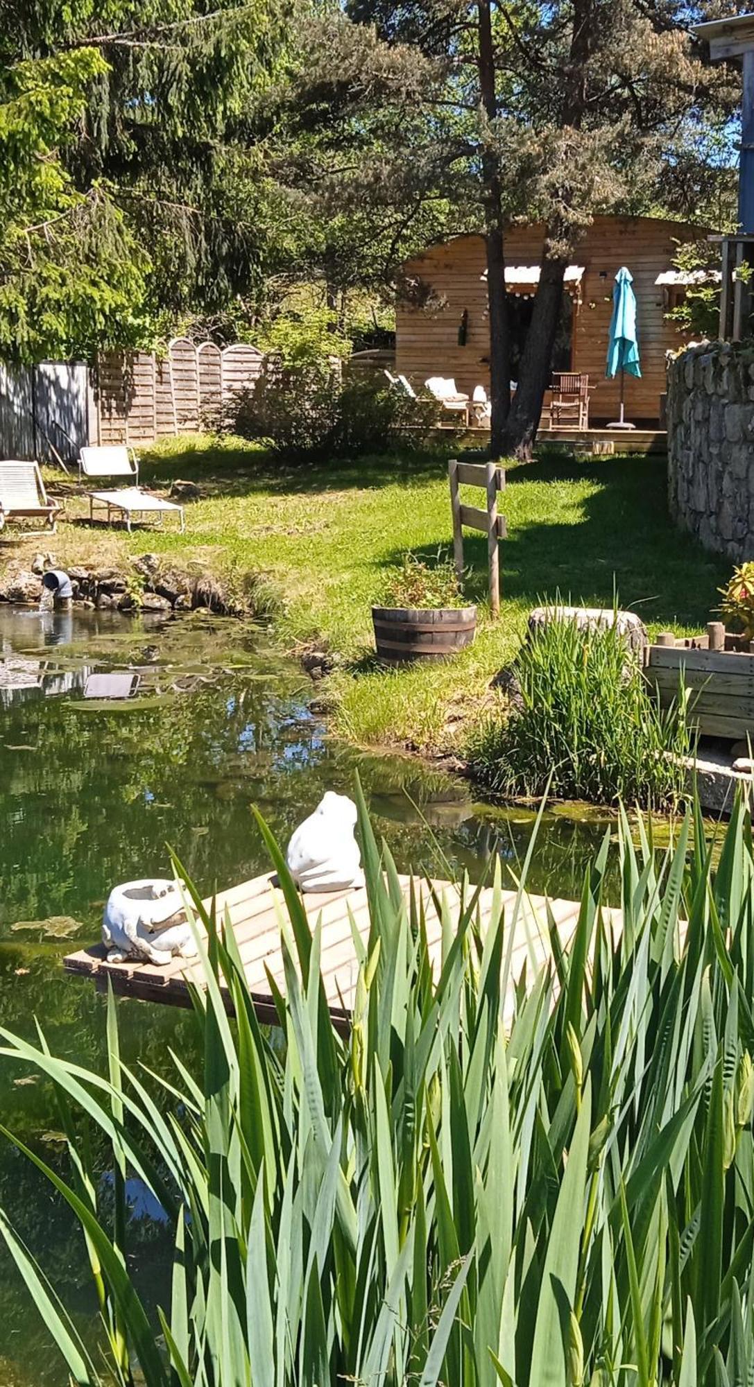 Chalet Grenouille Domaine De La Mamounette Champclause Bagian luar foto