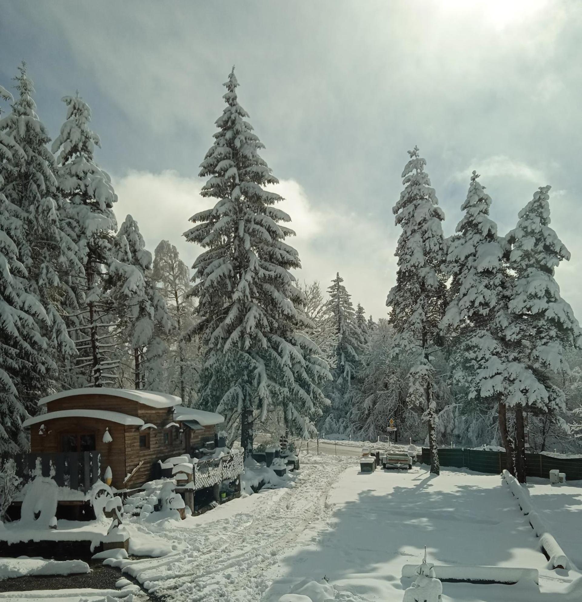 Chalet Grenouille Domaine De La Mamounette Champclause Bagian luar foto