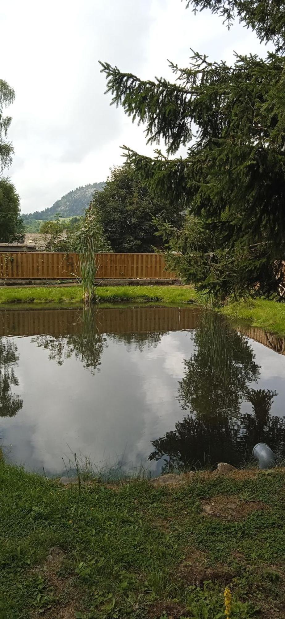 Chalet Grenouille Domaine De La Mamounette Champclause Bagian luar foto