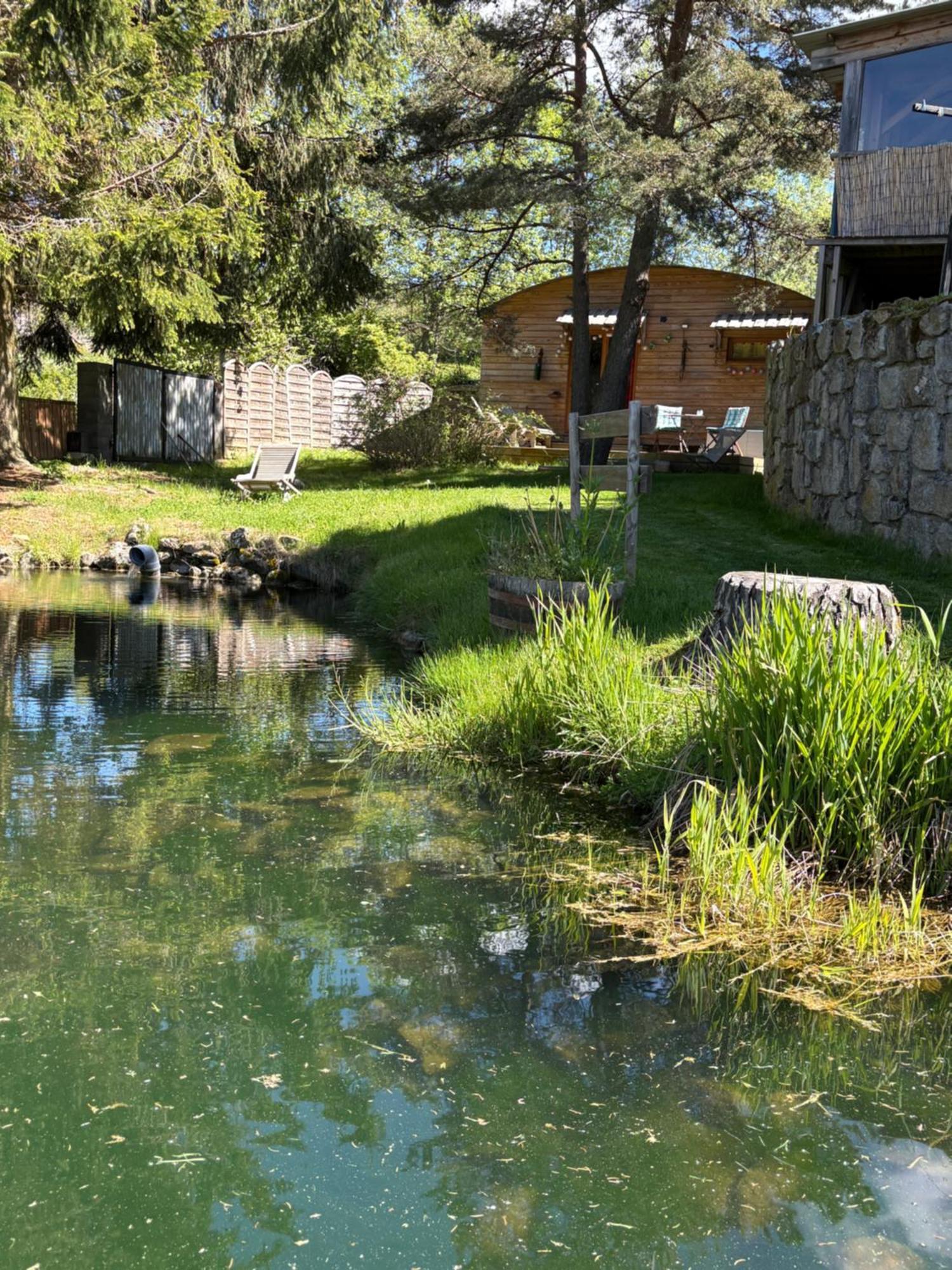 Chalet Grenouille Domaine De La Mamounette Champclause Bagian luar foto